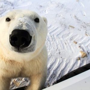 Meet your Posher, Shawn